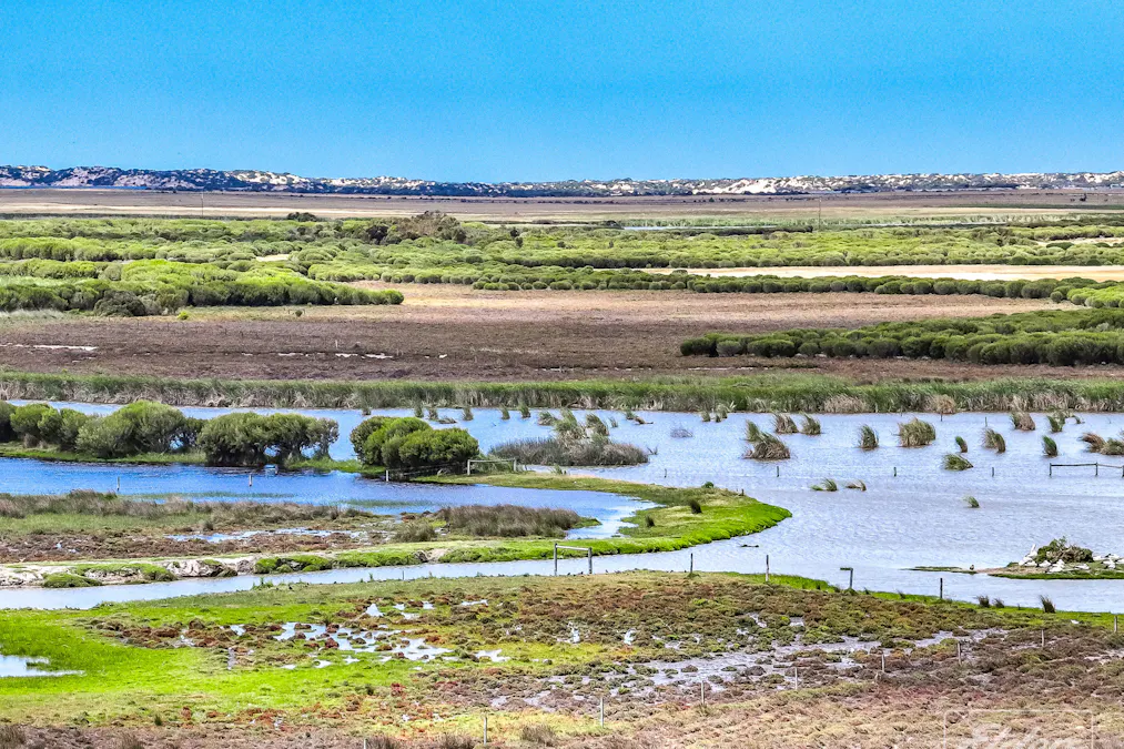 1408A&B Randell Road, Hindmarsh Island, SA, 5214 - Image 1