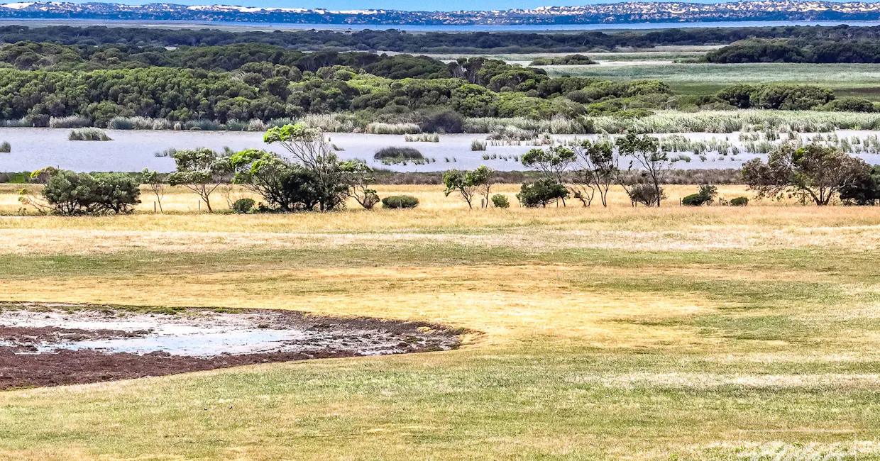 1408A&B Randell Road, Hindmarsh Island, SA, 5214 - Image 10