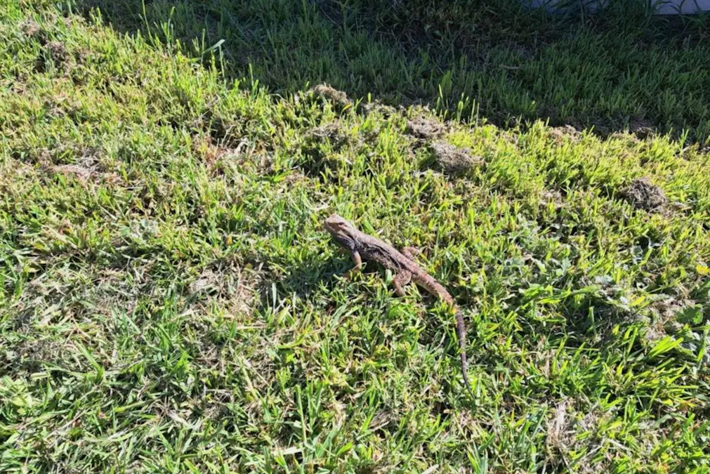 1408A&B Randell Road, Hindmarsh Island, SA, 5214 - Image 5