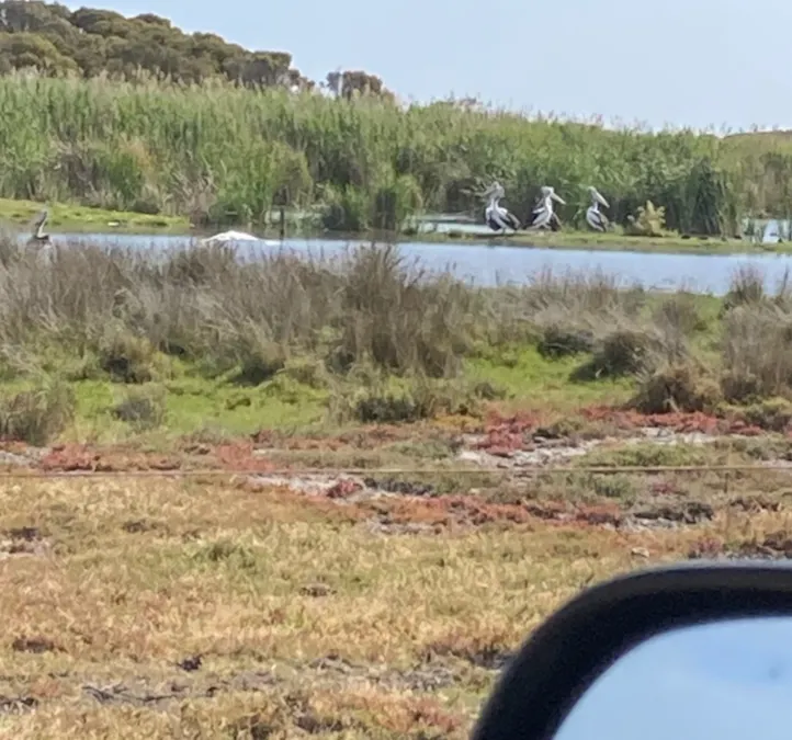 1408A&B Randell Road, Hindmarsh Island, SA, 5214 - Image 3