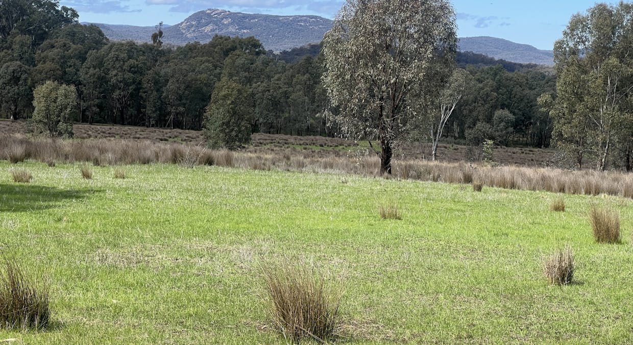 15 &16A Black Dog Creek Road, Indigo Valley, VIC, 3688 - Image 1