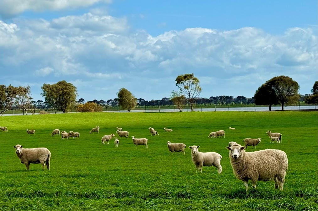 285 Milangil Road, Kariah, VIC, 3260 - Image 20