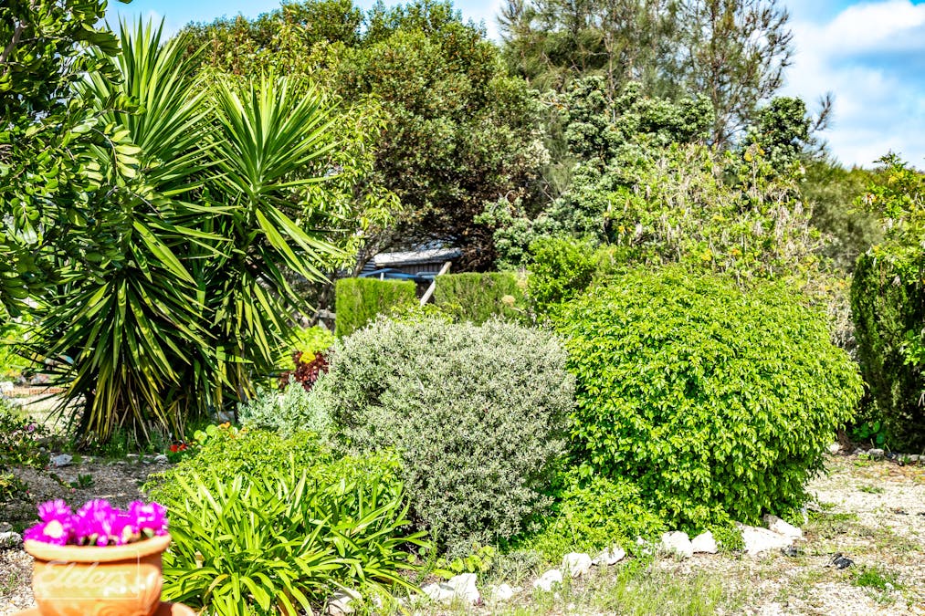 24 ALEXANDRINA Drive, Clayton Bay, SA, 5256 - Image 30