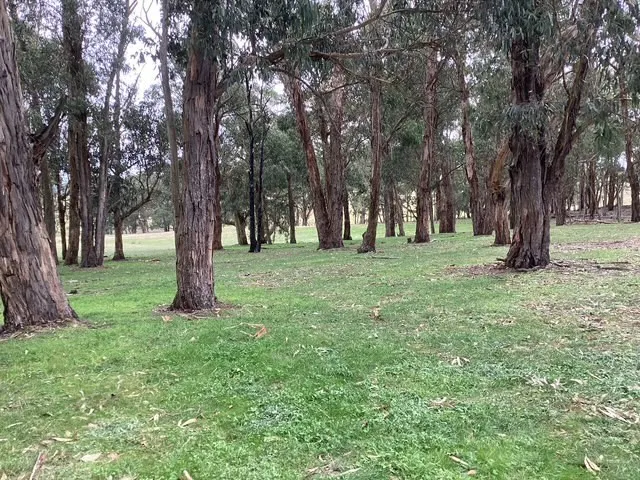 236 Morrisons Lane, Korobeit, VIC, 3341 - Image 18