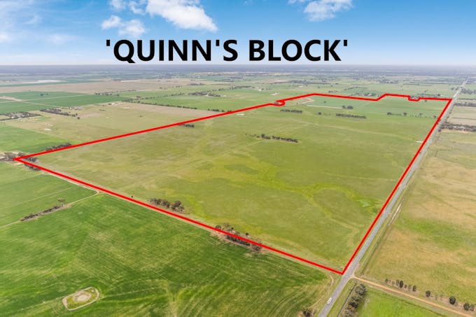 Echuca-Mitiamo Road, Echuca, VIC, 3564 - Image 1