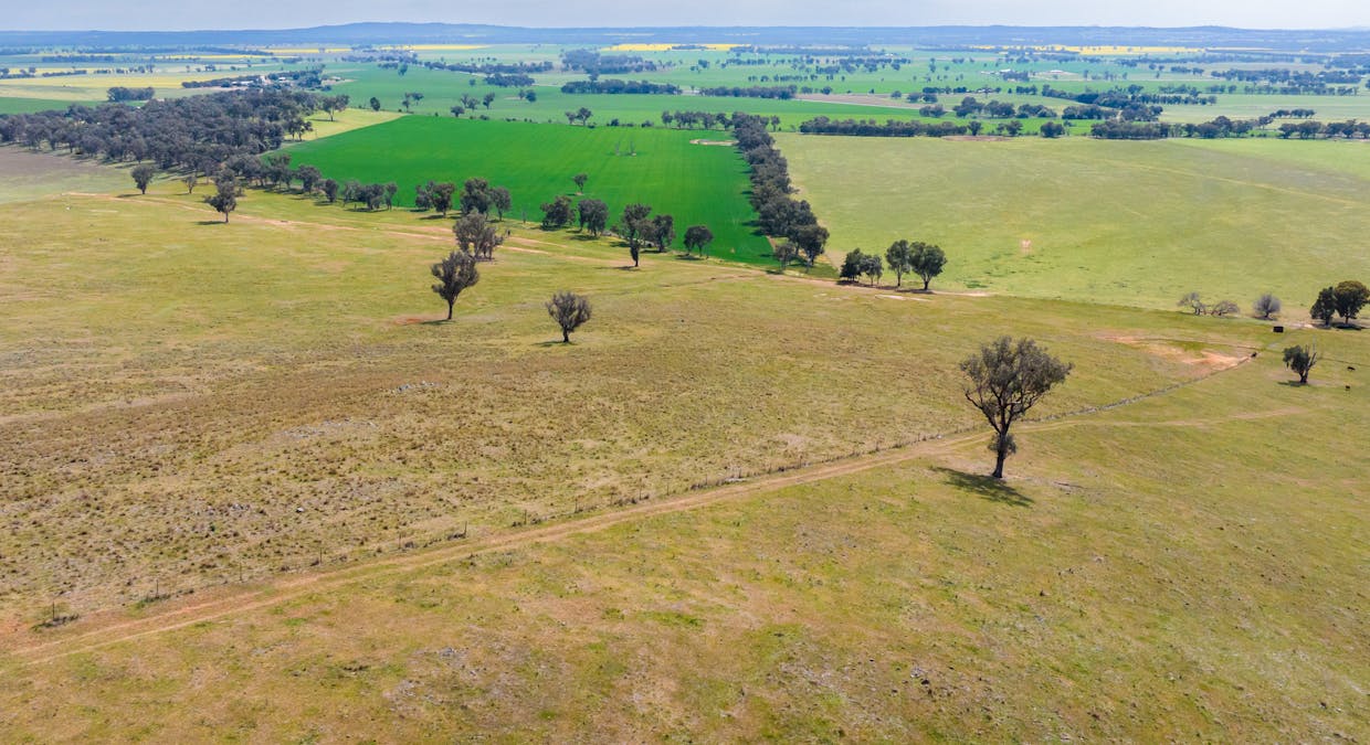 3393 Urana Road, Burrumbuttock, NSW, 2642 - Image 10