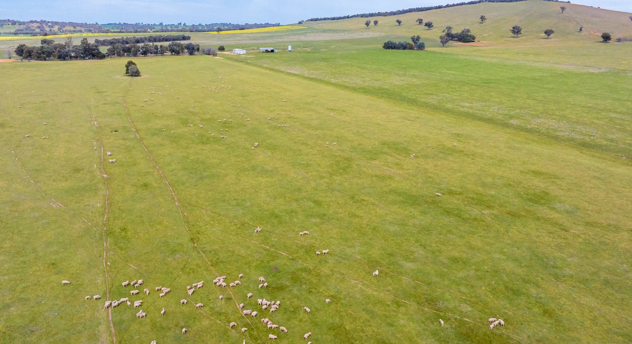 3393 Urana Road, Burrumbuttock, NSW, 2642 - Image 12