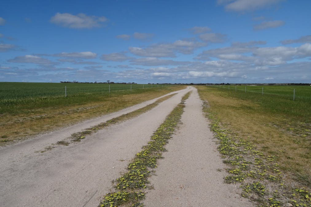 31541 South Coast Highway, Jerramungup, WA, 6337 - Image 33