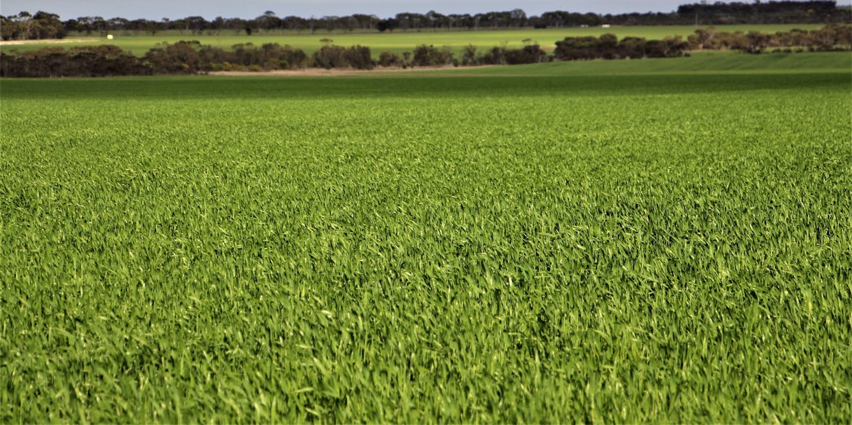 31541 South Coast Highway, Jerramungup, WA, 6337 - Image 31