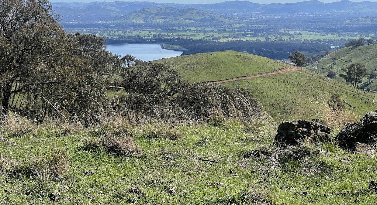 Lot 3 Flagstaff Road, Bethanga, VIC, 3691 - Image 12