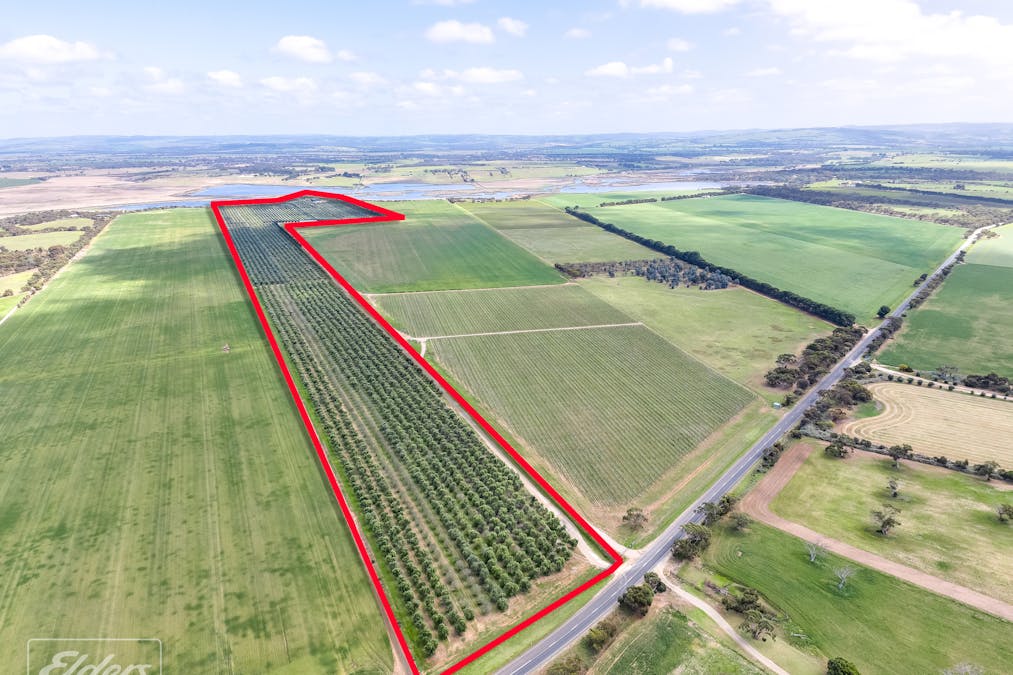558 & 361 Finniss-Clayton Road, Finniss, SA, 5255 - Image 4