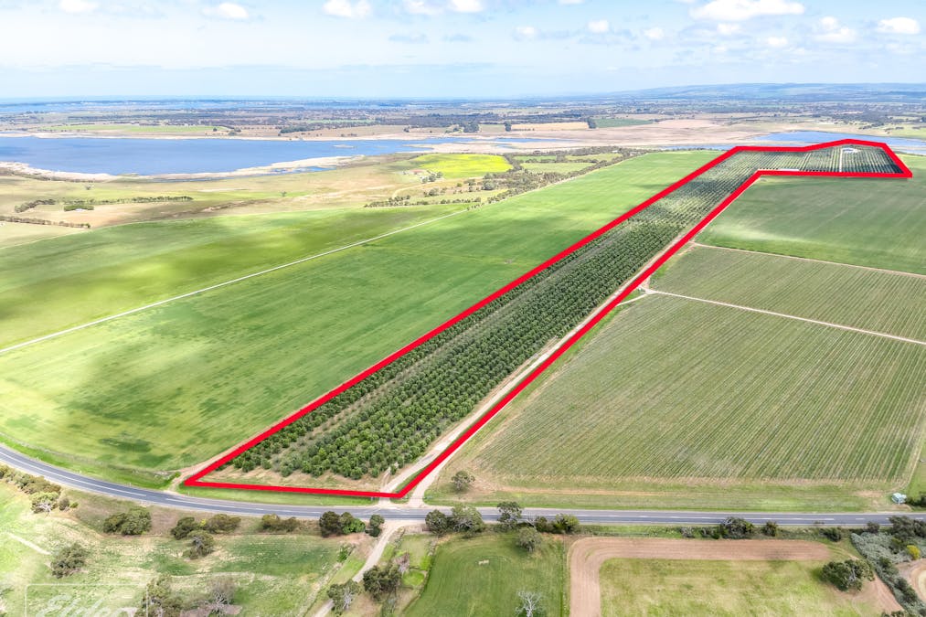 558 & 361 Finniss-Clayton Road, Finniss, SA, 5255 - Image 5