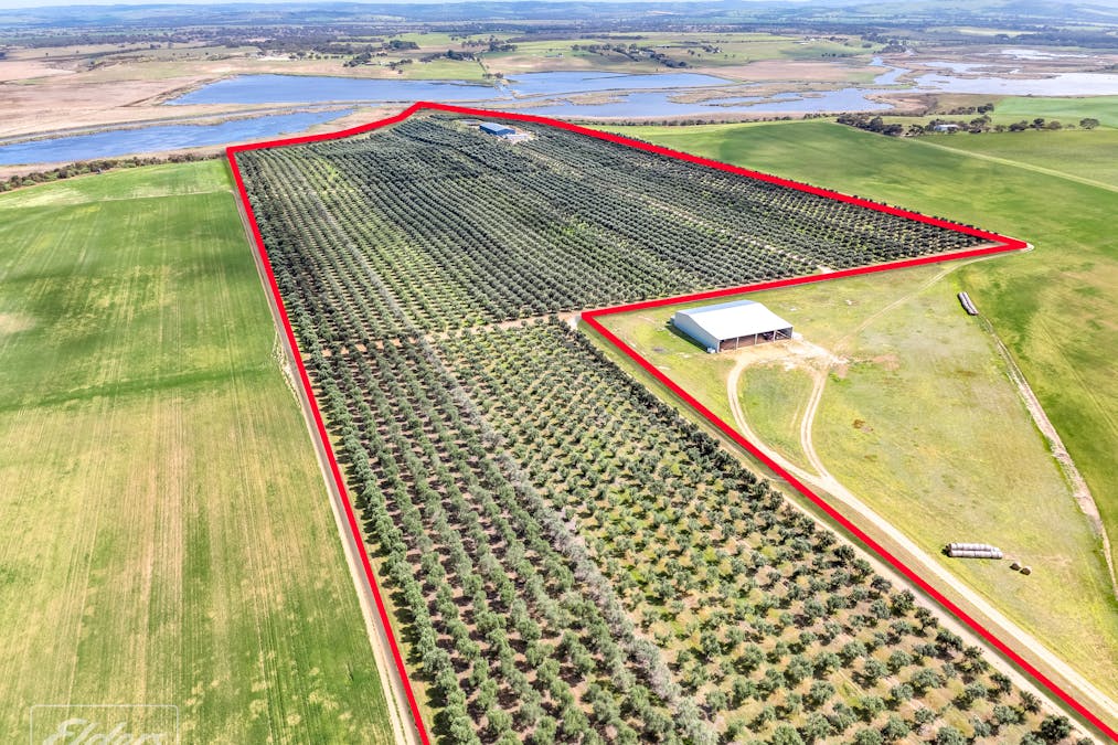 558 & 361 Finniss-Clayton Road, Finniss, SA, 5255 - Image 6