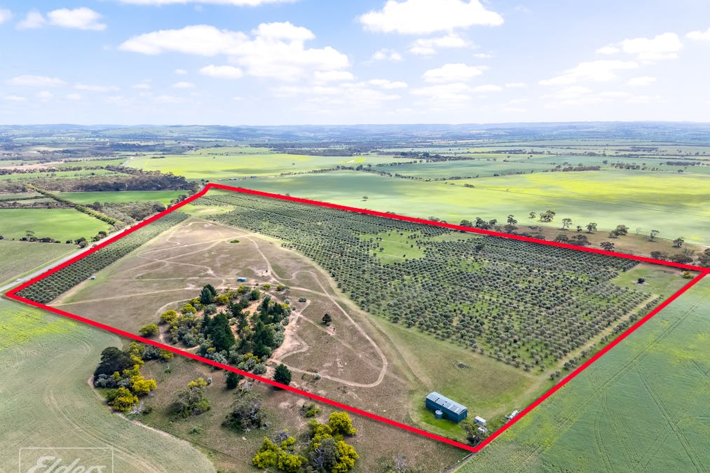 558 & 361 Finniss-Clayton Road, Finniss, SA, 5255 - Image 7