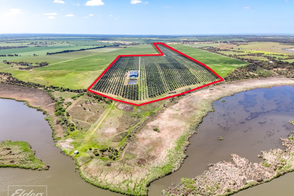 558 & 361 Finniss-Clayton Road, Finniss, SA, 5255 - Image 2