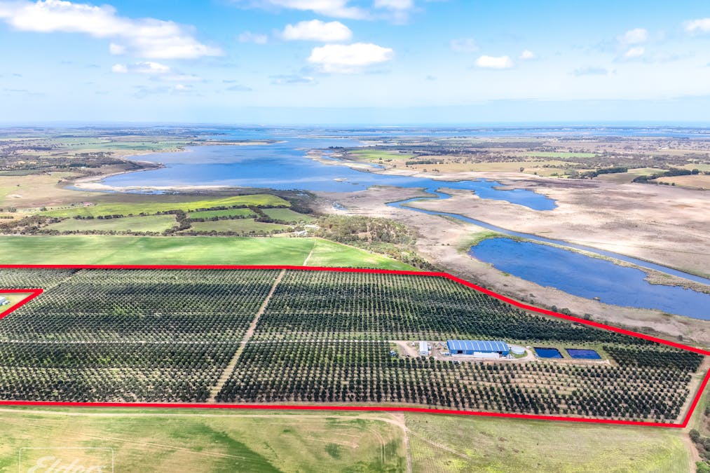 558 & 361 Finniss-Clayton Road, Finniss, SA, 5255 - Image 14