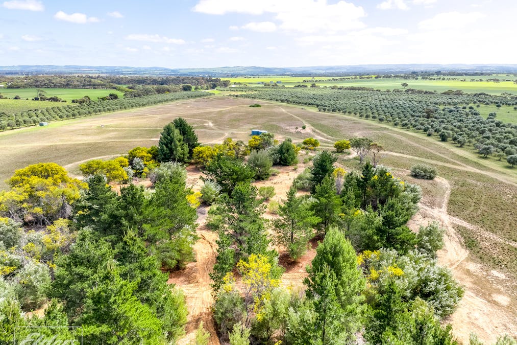 558 & 361 Finniss-Clayton Road, Finniss, SA, 5255 - Image 30