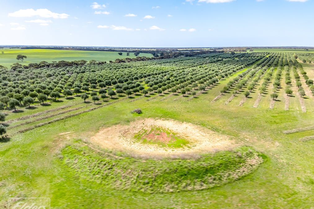 558 & 361 Finniss-Clayton Road, Finniss, SA, 5255 - Image 33