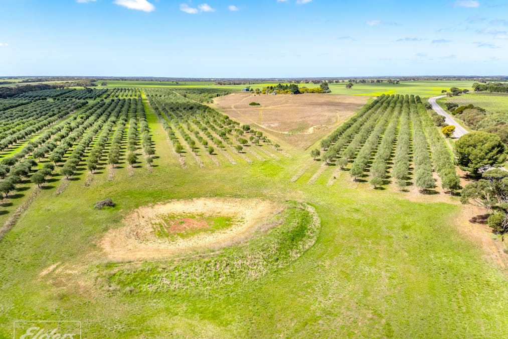 558 & 361 Finniss-Clayton Road, Finniss, SA, 5255 - Image 34