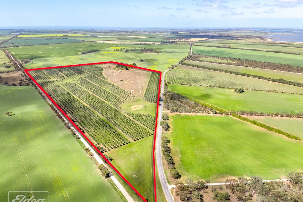 558 & 361 Finniss-Clayton Road, Finniss, SA, 5255 - Image 35