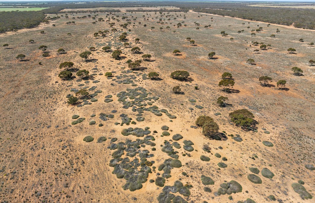 1719 New Well Centre Road, New Well, SA, 5357 - Image 17