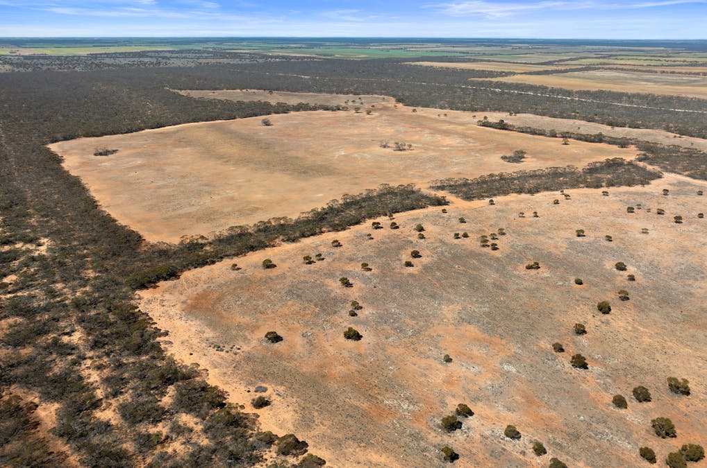 1719 New Well Centre Road, New Well, SA, 5357 - Image 18