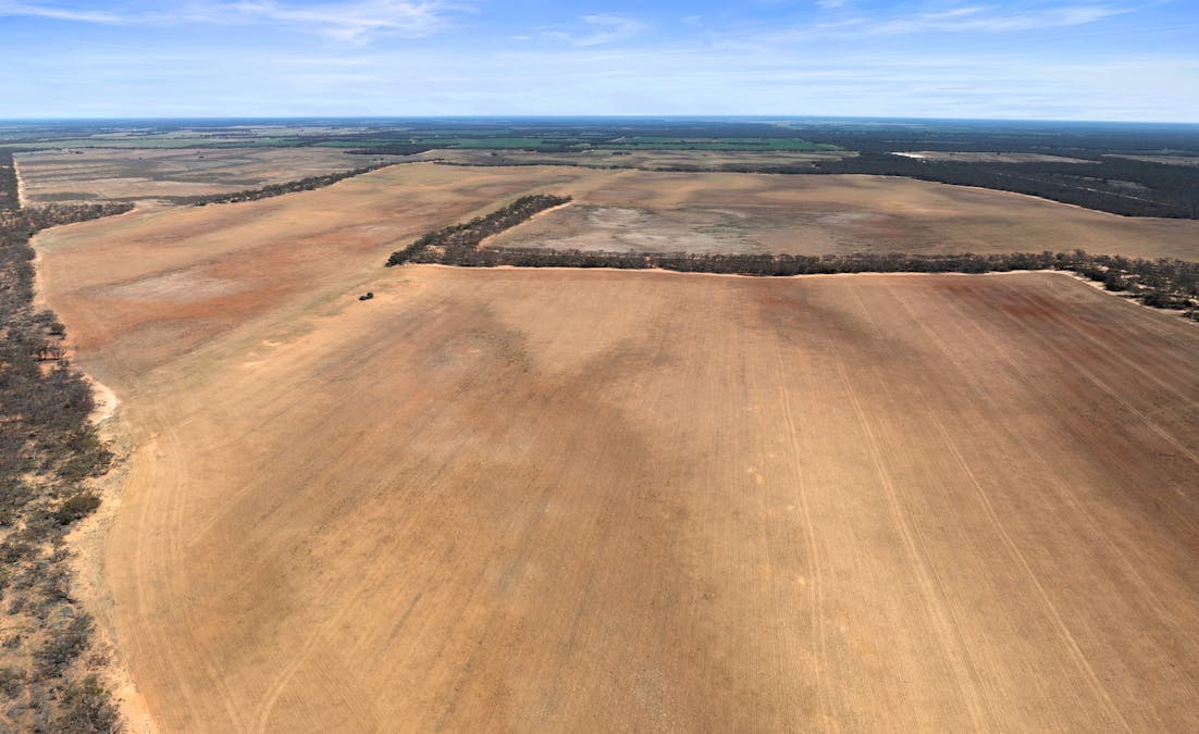 1719 New Well Centre Road, New Well, SA, 5357 - Image 23
