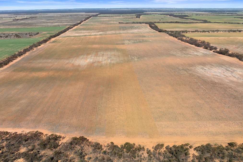 1719 New Well Centre Road, New Well, SA, 5357 - Image 25