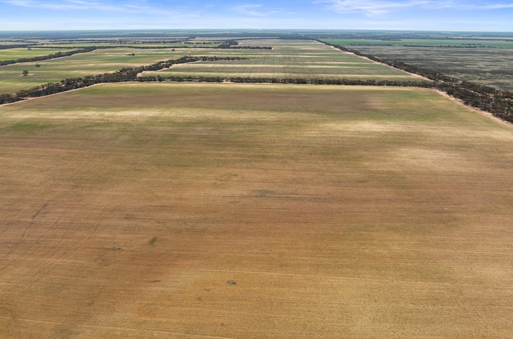 1719 New Well Centre Road, New Well, SA, 5357 - Image 27