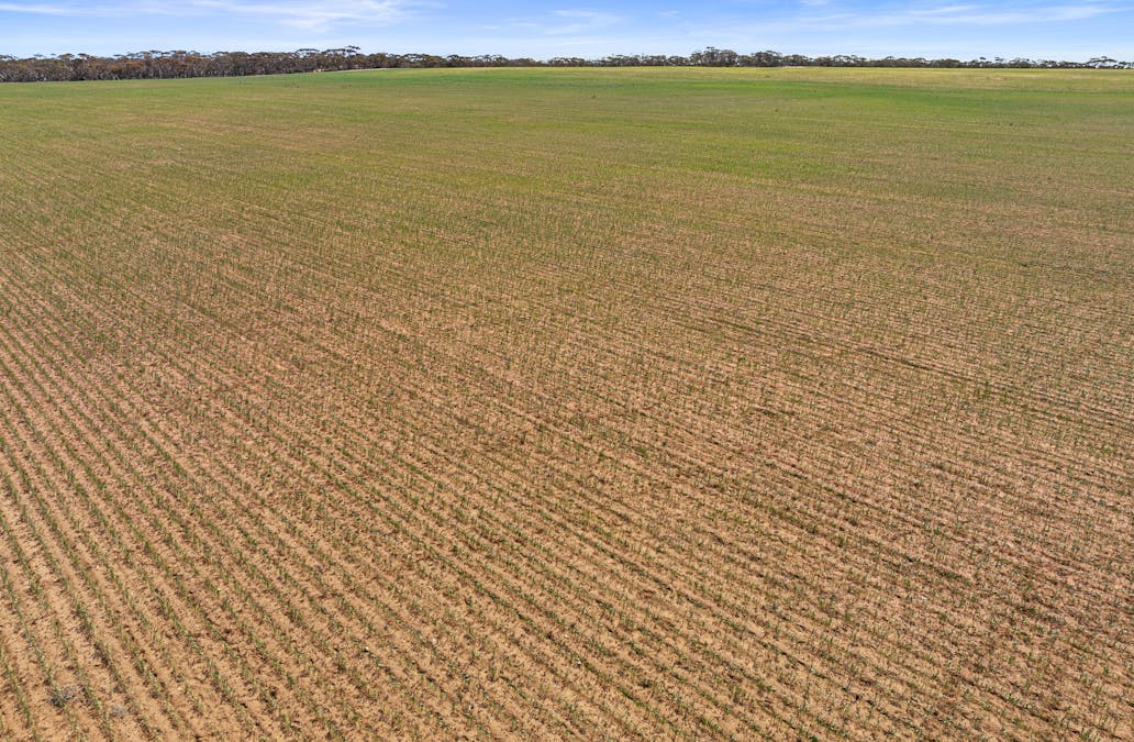 1719 New Well Centre Road, New Well, SA, 5357 - Image 28
