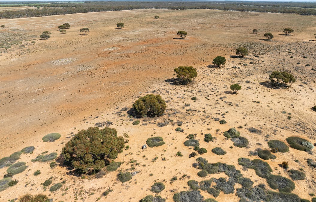1719 New Well Centre Road, New Well, SA, 5357 - Image 29