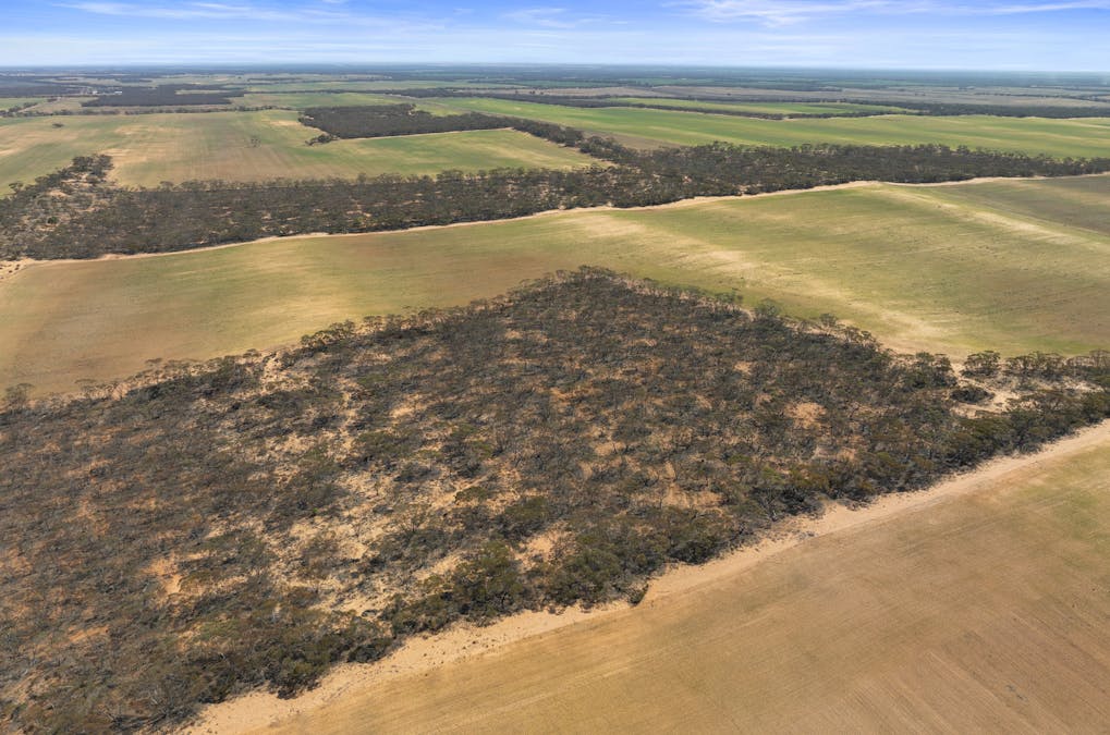 1719 New Well Centre Road, New Well, SA, 5357 - Image 30