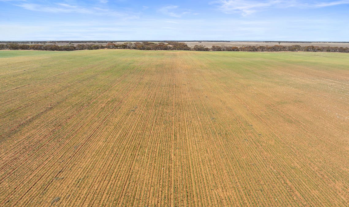 1719 New Well Centre Road, New Well, SA, 5357 - Image 31