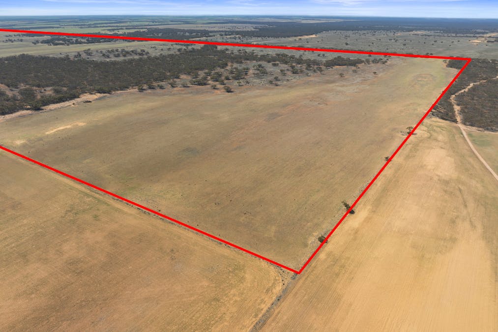 1719 New Well Centre Road, New Well, SA, 5357 - Image 34