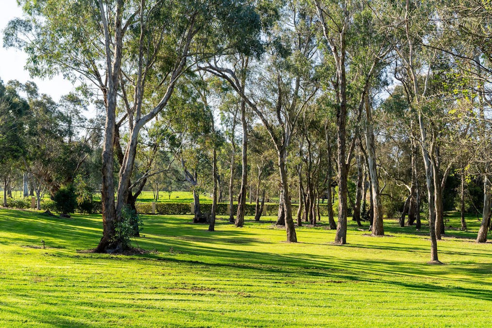 5000 Maroondah Highway, Alexandra, VIC, 3714 - Image 17