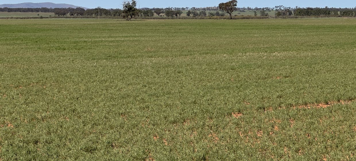 434 Schmidt Road, Willowie, SA, 5431 - Image 4