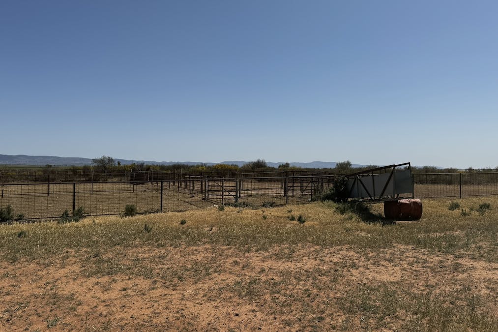 434 Schmidt Road, Willowie, SA, 5431 - Image 23
