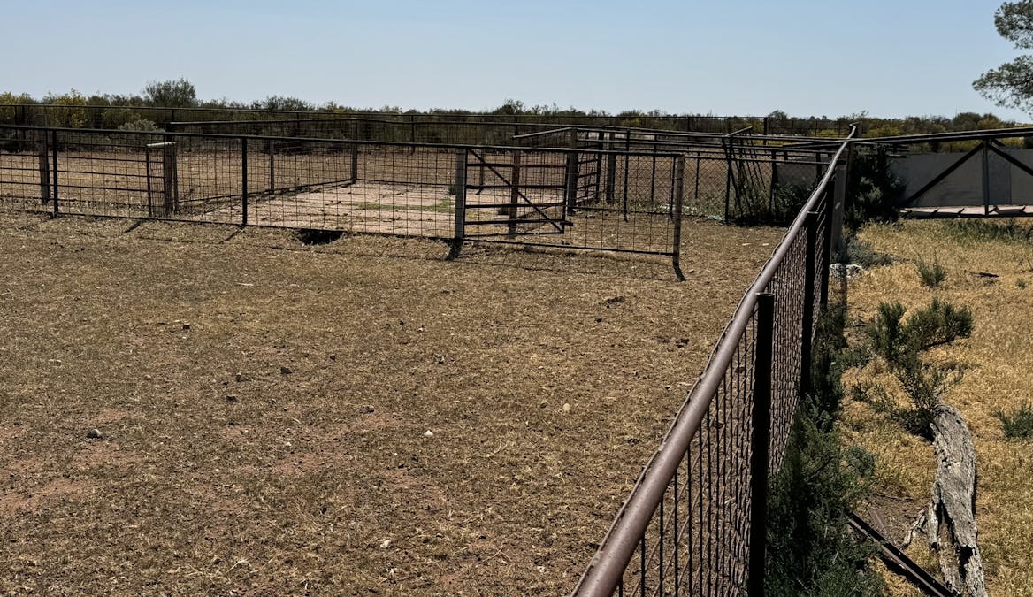 434 Schmidt Road, Willowie, SA, 5431 - Image 19