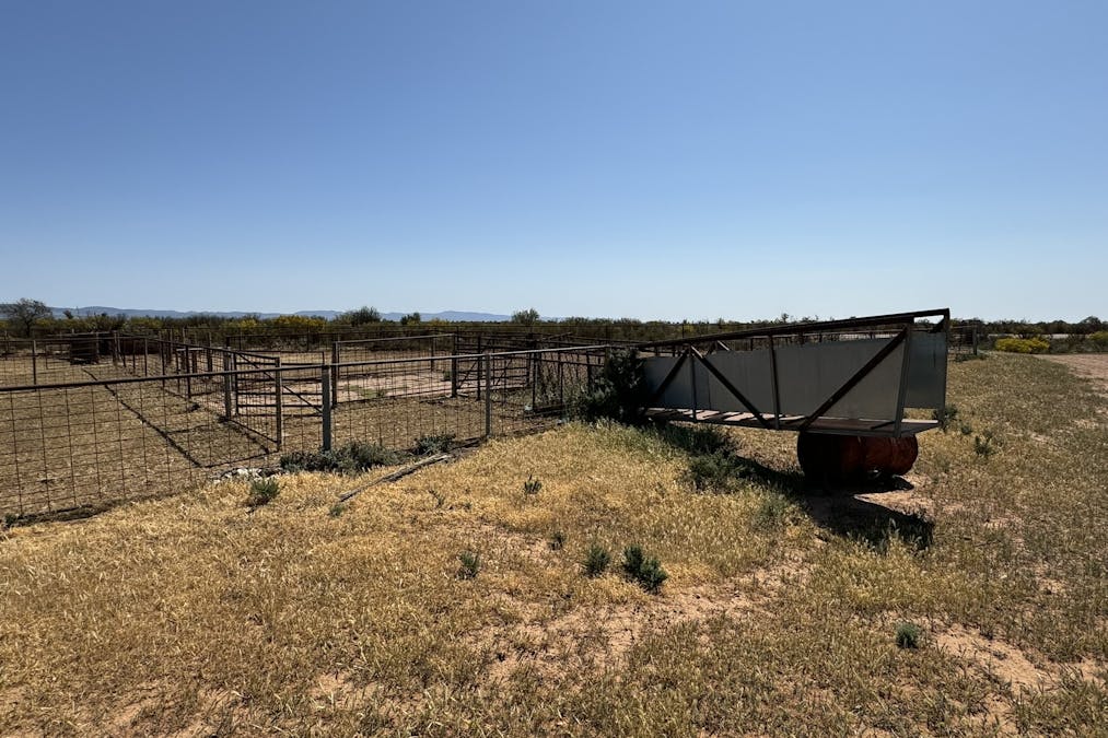 434 Schmidt Road, Willowie, SA, 5431 - Image 20