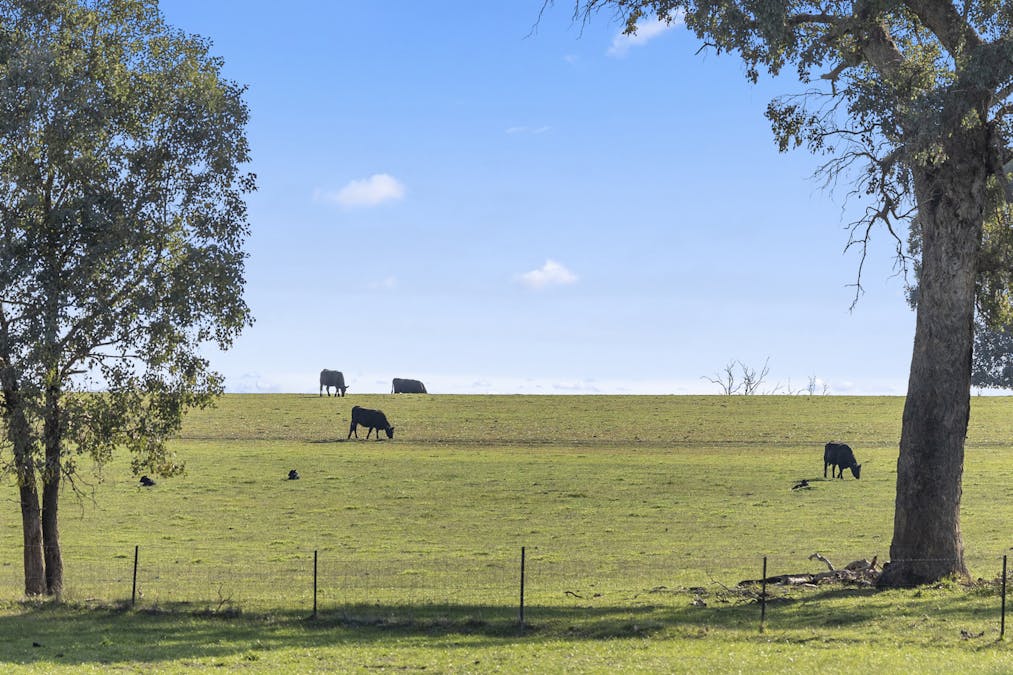 Level Lot 3/140 Springdale Road, Tarrawingee, VIC, 3678 - Image 6