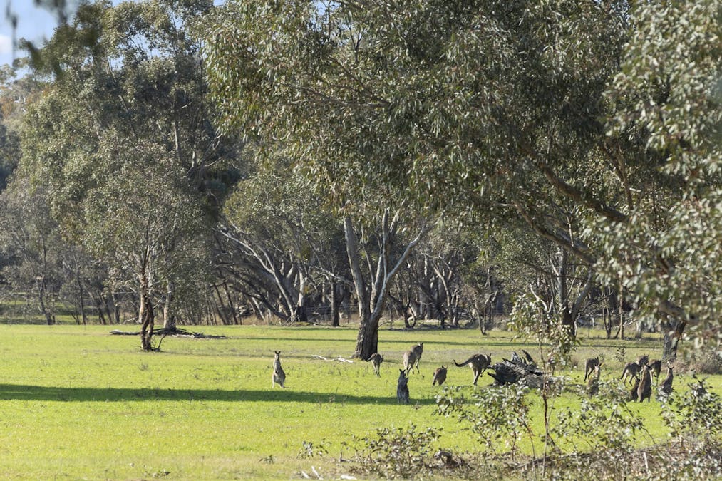 Level Lot 3/140 Springdale Road, Tarrawingee, VIC, 3678 - Image 15