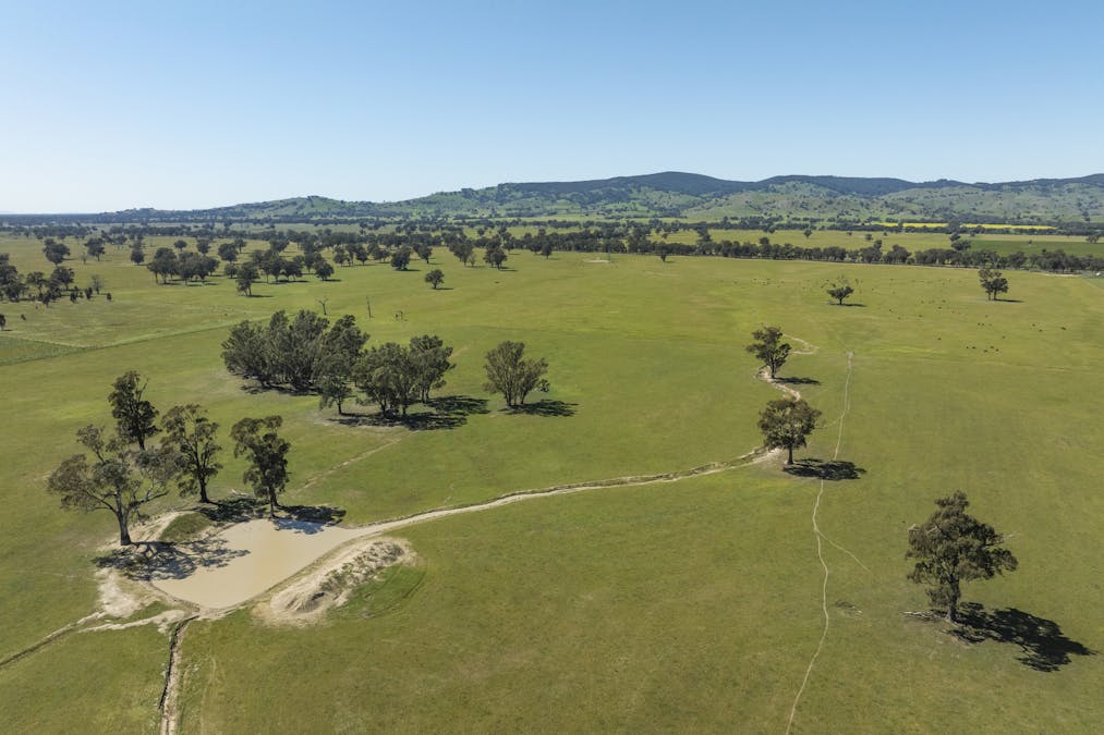 Mahers Road, Violet Town, VIC, 3669 - Image 5