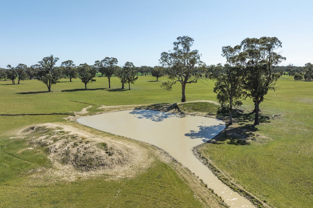 Mahers Road, Violet Town, VIC, 3669 - Image 6