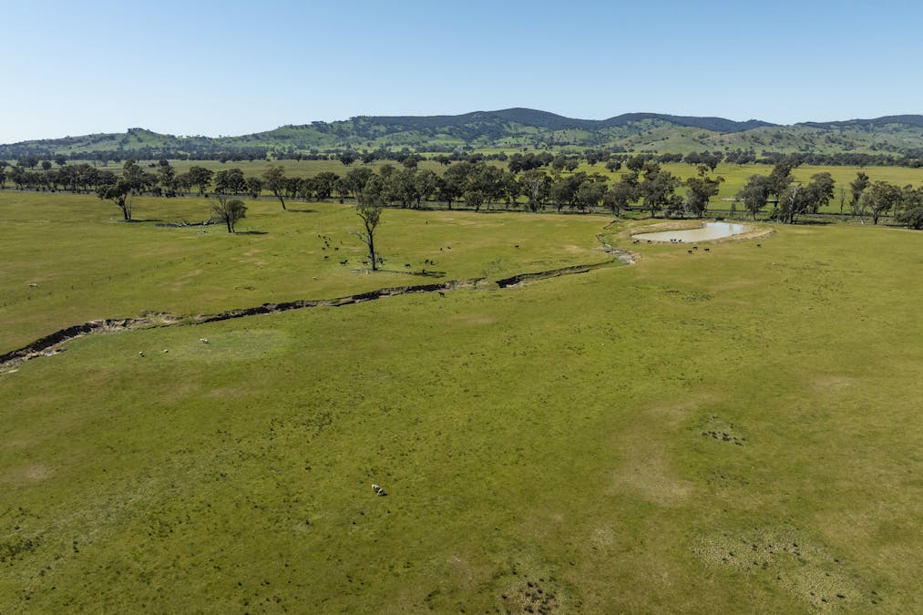 Mahers Road, Violet Town, VIC, 3669 - Image 7