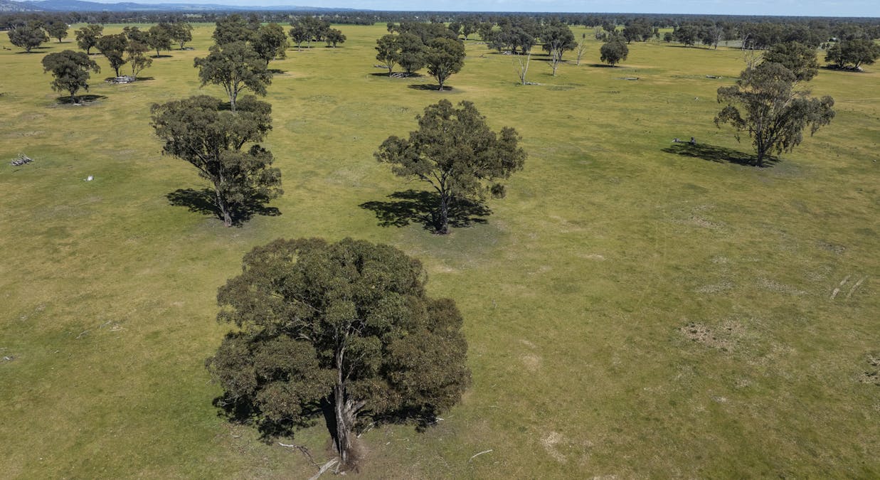Mahers Road, Violet Town, VIC, 3669 - Image 9