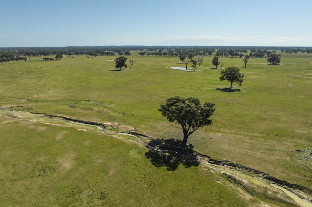Mahers Road, Violet Town, VIC, 3669 - Image 11