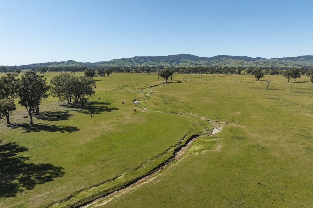 Mahers Road, Violet Town, VIC, 3669 - Image 12