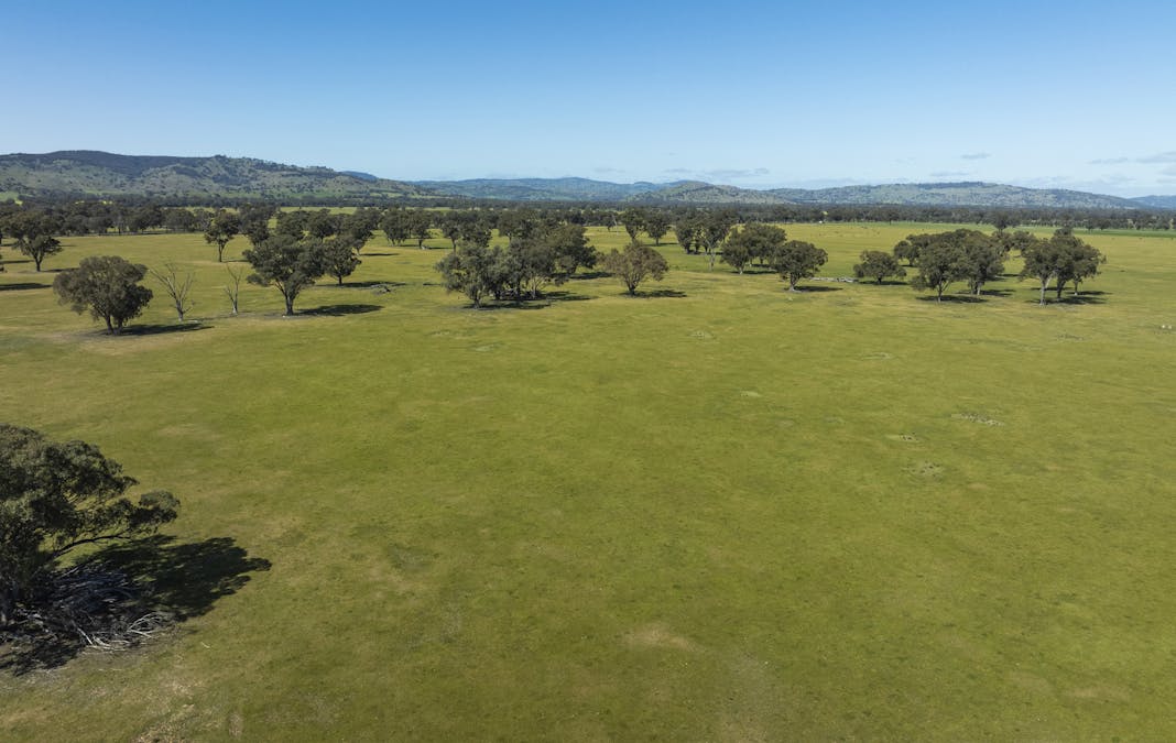Mahers Road, Violet Town, VIC, 3669 - Image 13