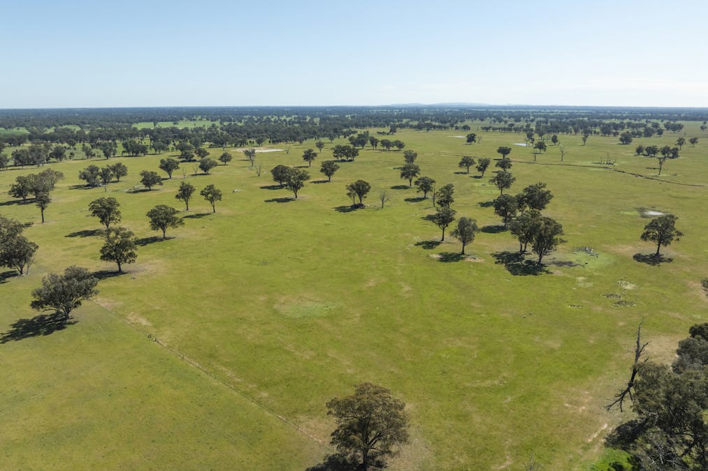 Mahers Road, Violet Town, VIC, 3669 - Image 14