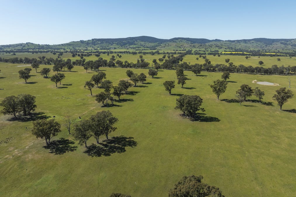 Mahers Road, Violet Town, VIC, 3669 - Image 4